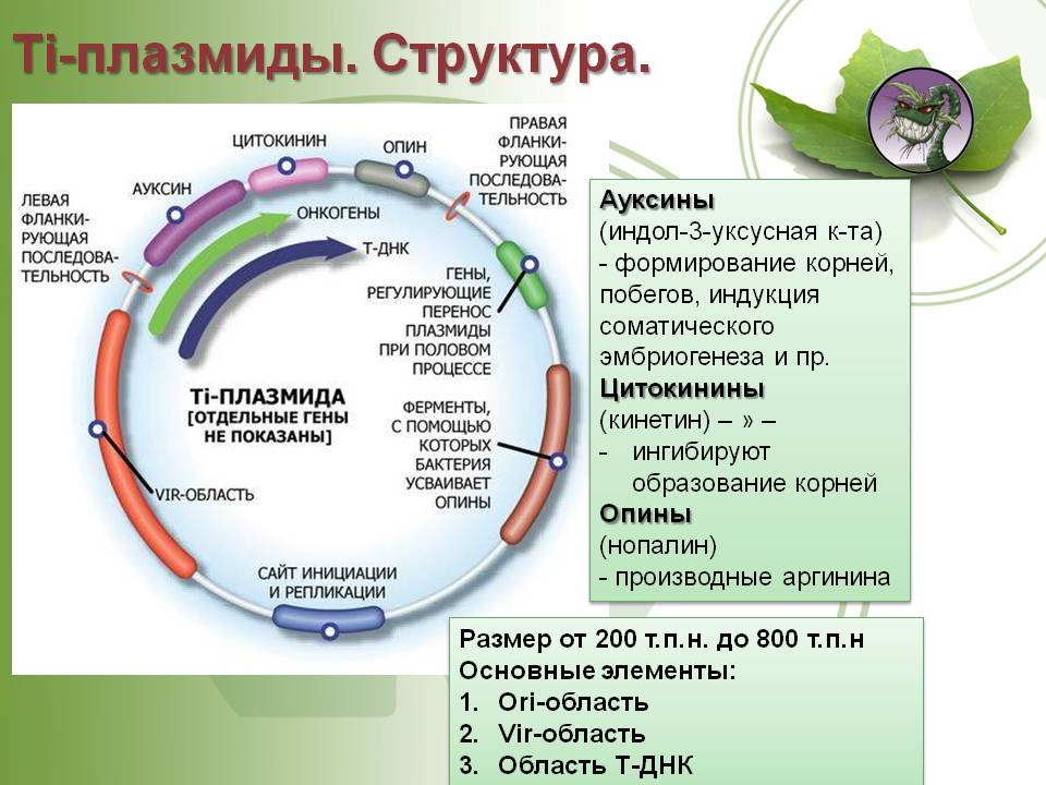 Kra37.cc