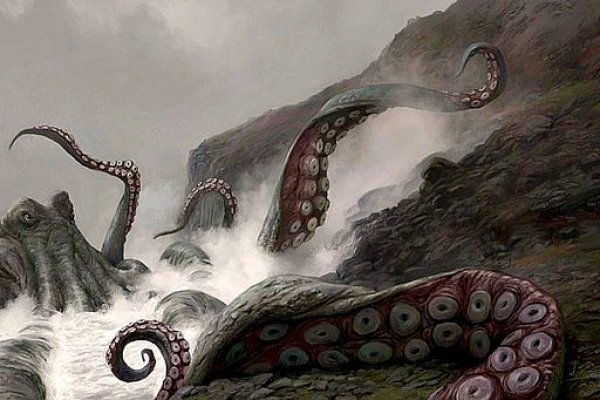 Kraken настоящая ссылка