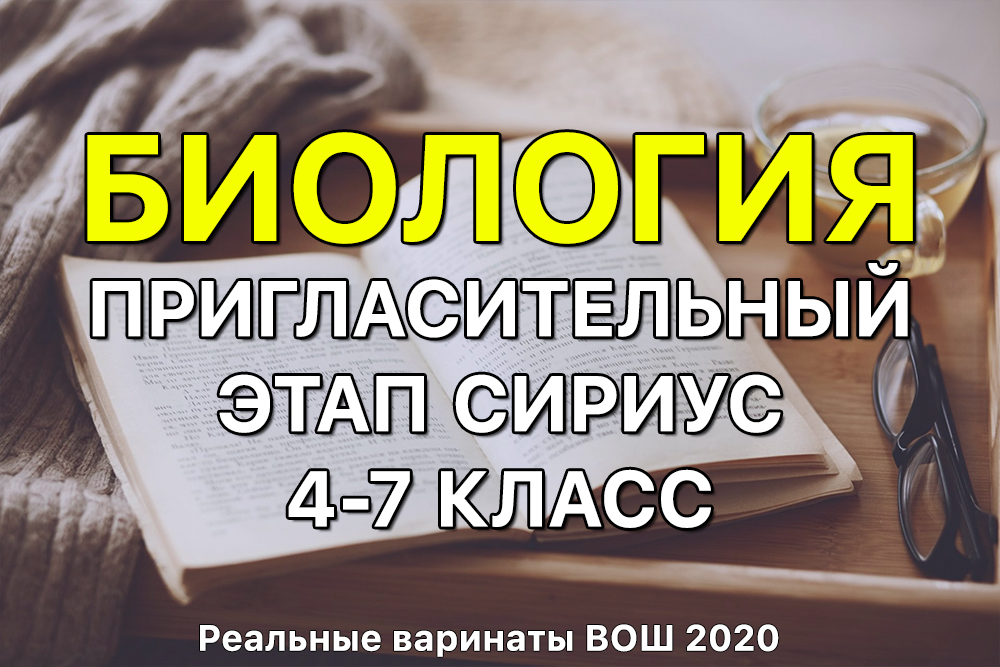 Кракен маркетплейс kr2web in площадка